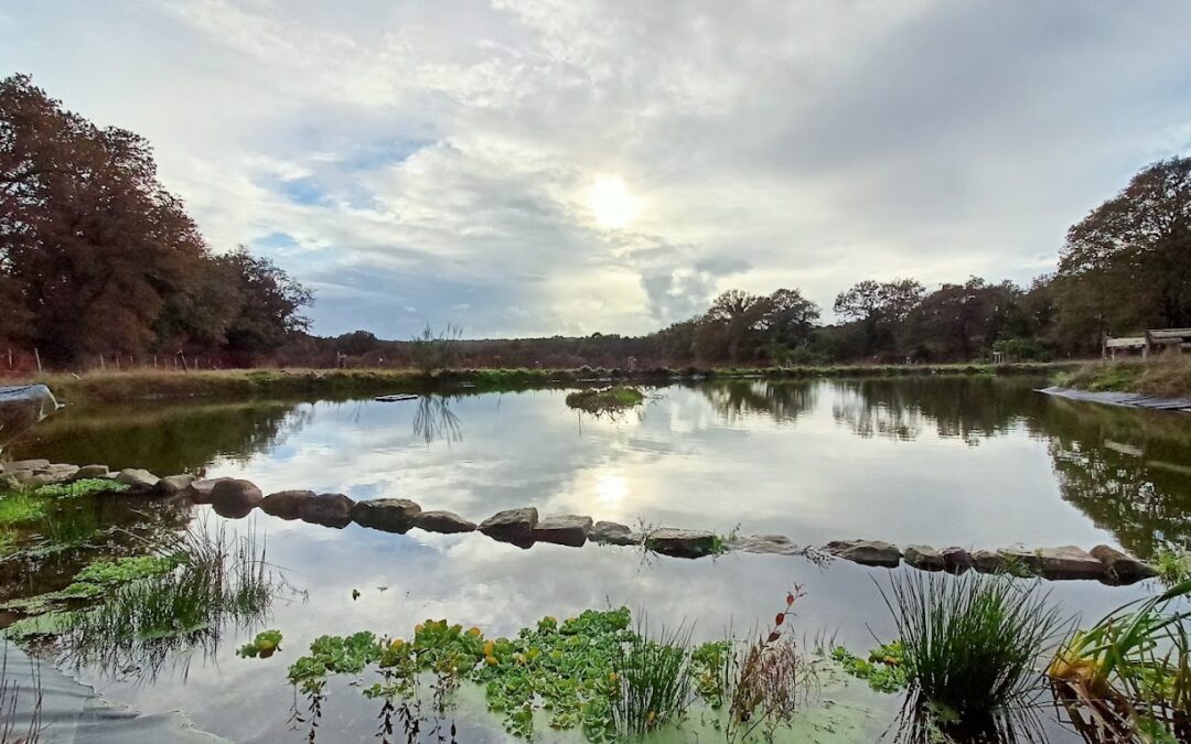 Ferme de Keruzerh à Locoal-Mendon